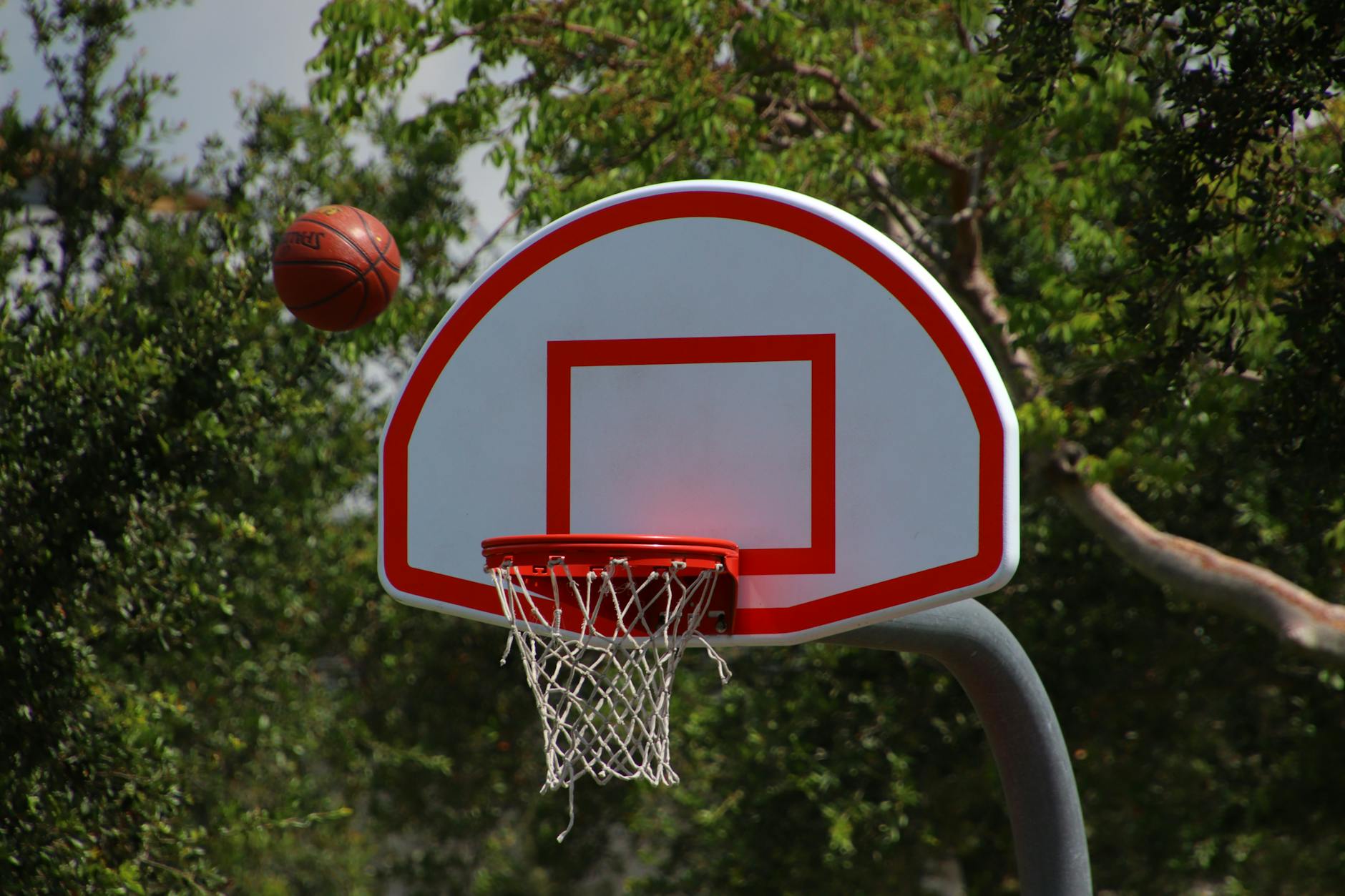 Mission San Jose Warriors Basketball