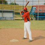 Baseball Walk-off Hit