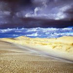Desert Reforestation China