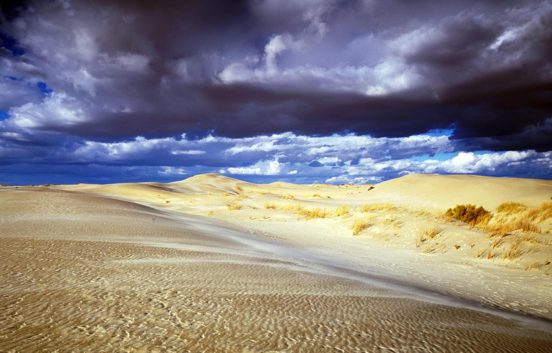 Desert Reforestation China