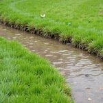French Drain Installation