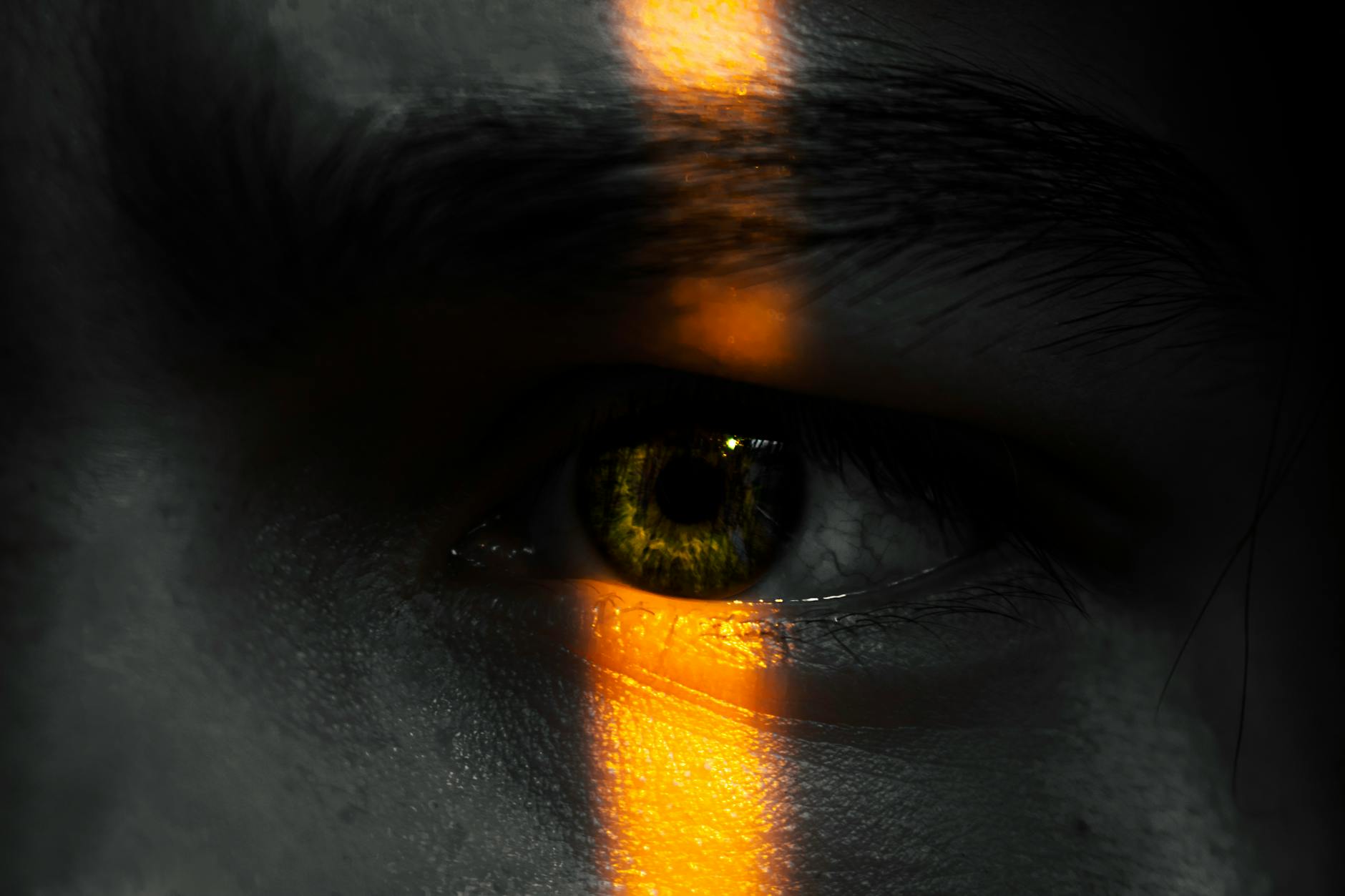 Generational Trauma Psychology