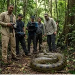 Giant Anaconda Rainforest