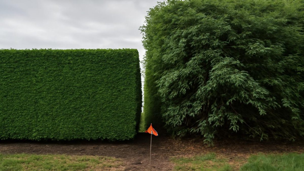 Hedge Trimming Regulations