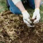 Hydrogel Soil Technology