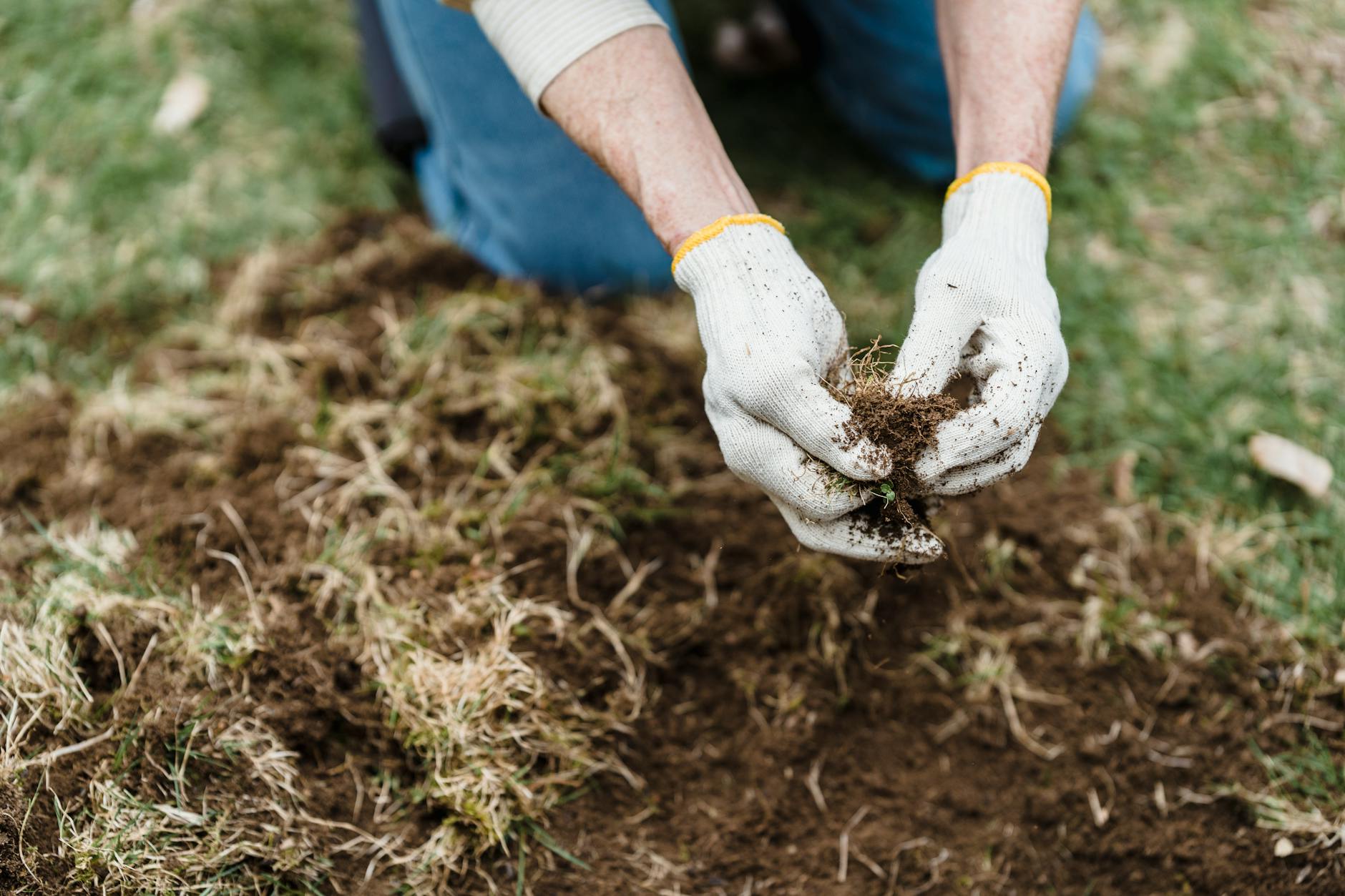 Hydrogel Soil Technology