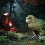 Kākāpō Parrot New Zealand