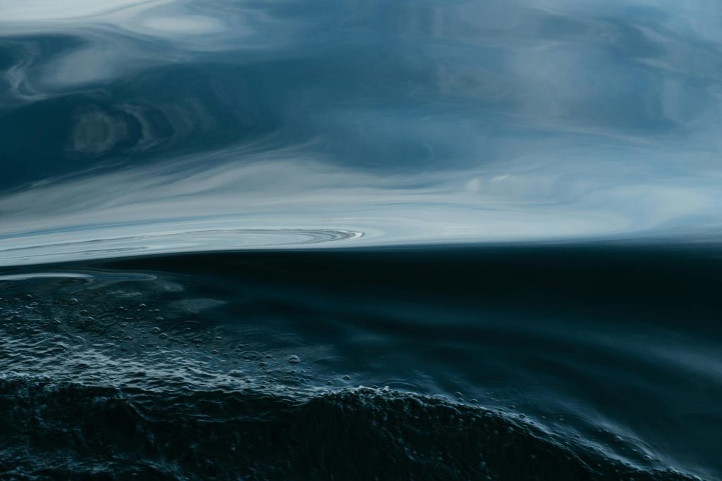 Shark Dorsal Fin Ocean