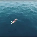 Whale Pod Gathering